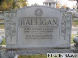 Peter Bernard Halligan