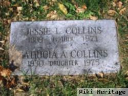 Jessie L Collins