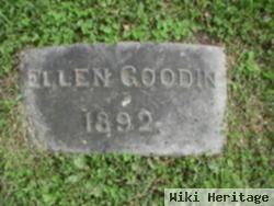 Ellen Goodin