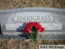 Joseph Earnest "joe" Snodgrass