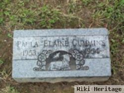 Paula Elaine Cummins