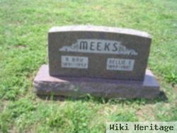 Nellie Meeks