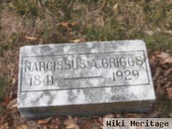 Narcissus Ann "sis" Henderson Griggs