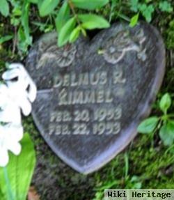 Delmus R Kimmel