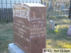 Sarah A. Hull Harter