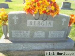 Charles W Bergin