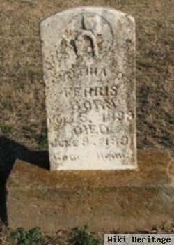 Martha D. Ferris