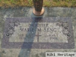 Marie M Moser Seng