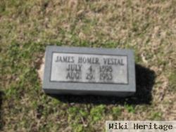 James Homer Vestal