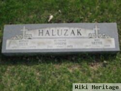 Joseph Haluzak