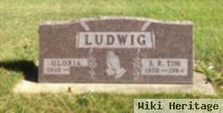 S. R. Ludwig