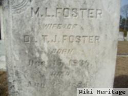 Missouri Lavinia Lesueur Foster