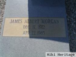 James Albert Morgan