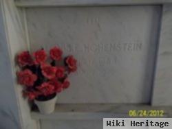 Louise E. Hohenstein