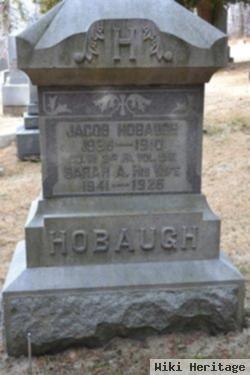 Sarah Ann Kilgore Hobaugh