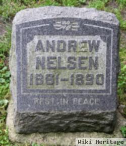 Andrew Nelsen