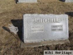 Charles Eli Mitchell