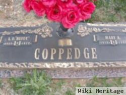 Mary Coppedge