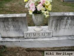 Jacob F Zumbach