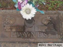 Albert N Haynes