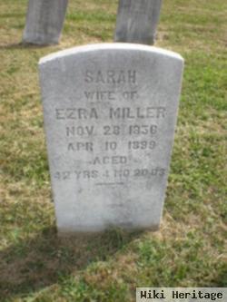 Sarah Diehl Miller