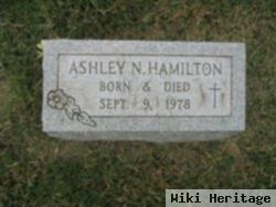 Ashley N. Hamilton