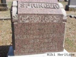 Lillian S Furness Springer