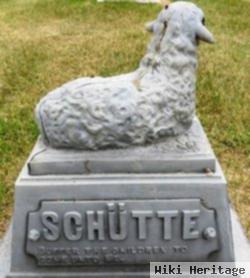 Infant Schutte