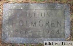 Julius H Holmgren