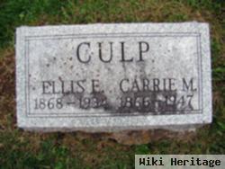 Ellis Elliot Culp