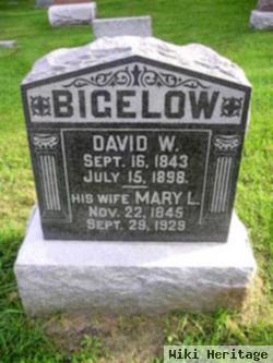 David Wineas Bigelow