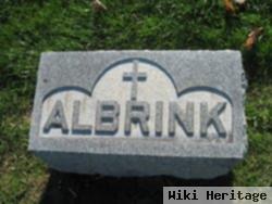 Anna Helena Kroeger Albrink