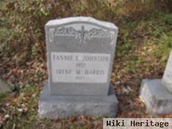 Fannie E. Johnson