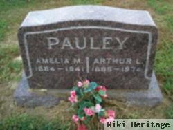 Amelia Miranda Price Pauley