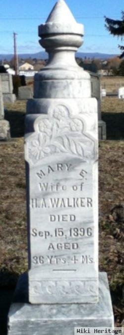 Mary E Walker