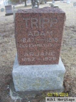 Adam Tripp