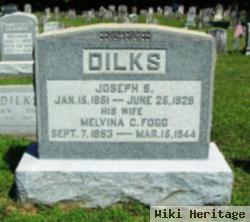 Joseph S Dilks