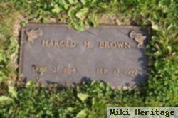 Harold Henry Brown