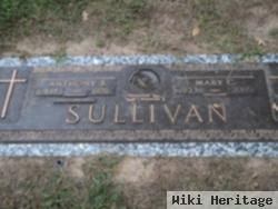 Mary C. Sullivan