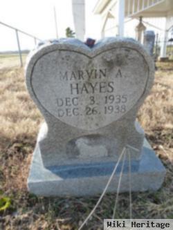 Marvin A Hayes