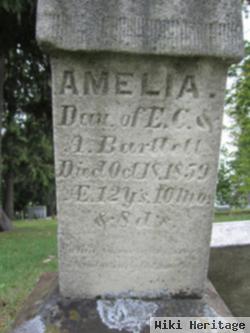 Amelia Bartlett