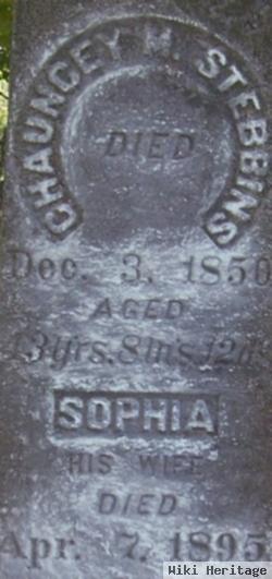 Sophia Rice Stebbins