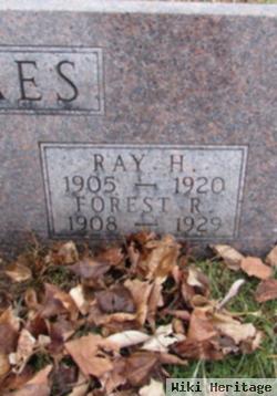 Ray Hallie Oakes