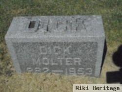 Dick Molter