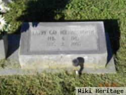 Larry Gay Hollingsworth