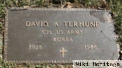 David A Terhune