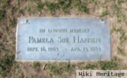 Pamela Sue Hansen