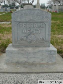 Pedro J Mello