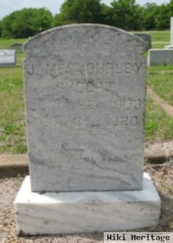 James Burley Sybert