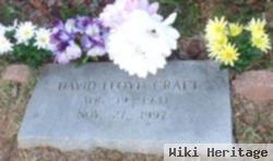 David Lloyd Craft